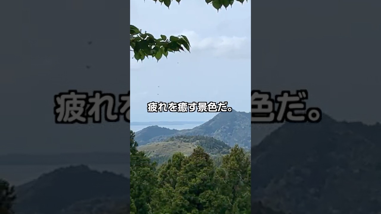 南房総市で山登り 低い山ばかりと思われてるけど、いやいやどっこい。結構歯応えありますよ #低名山 #登山 #ハイキング #田舎暮らし
